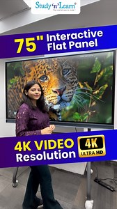 1.3K views · 14 reactions | Looking for the best digital board for...