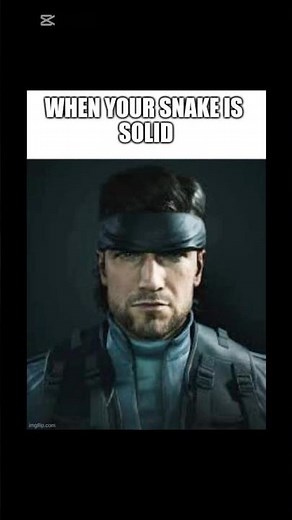 Solid snake memes once again #edit #memes #music #gaming #snake #debtcollector #doubleloot