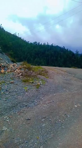 shangla today weather..