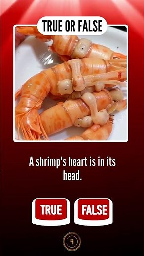 100 Mind-Blowing TRUE or FALSE Questions You Won’t Believe! | Ultimate Quiz Challenge