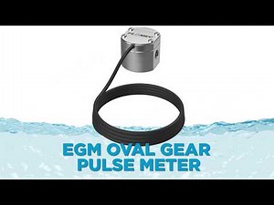 FLOMEC EGM Series Oval Gear Flowmeter