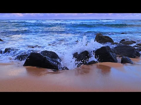 Ocean Sounds for Studying or Working | Focus with Crashing Waves