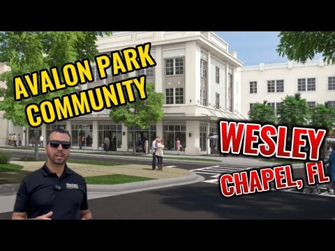 UPDATED VIDEO ON THE NEW AVALON PARK COMMUNITY IN WESLEY CHAPEL, FLORIDA | COMMUNITY WALK THROUGH