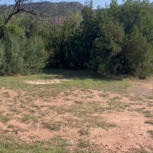 If you’ve ever stayed in Juniper, chances are you’ve met our resident roadrunner with a bit of a limp. Don’t be fooled—“Hoppy” is still one of the fastest and fiercest hunters in the canyon. Here she is in full pursuit, snagging a centipede like it’s nothing. Roadrunners, part of the cuckoo family, can hit speeds up to 20 mph. They’re not just quick—they’re skilled predators that take on everything from insects and lizards to snakes and scorpions. Hoppy’s proof that even with a bum leg, you can 