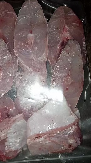 Golden Croaker or Goli Machli / Barramundi Fish or Dangri Machli #croaker #fish #croakerfish #barramundi #barramundifish #fishes #raheelrauf #fishreels #fishsale #fishvideos #fishvideo #seafood #karachifishing #fishviral #fypシ゚viral #fypシ゚ #bestfish #topfish | Fresh&Frozen Seafood