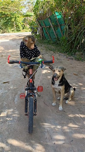 Perfect video SokYaa,OG, To To And Mom Are Famous & Amazing | Primitive Cooking | Facebook