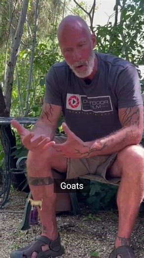 13K views · 345 reactions | Discover the fascinating world of goats...