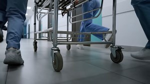 She Entered the ER, Doctors Rushed to Save Her, but Within Minutes They Were Collapsing Beside Her