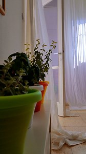 家 风 家具 - Free video on Pixabay