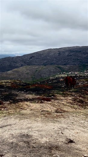 Tours at Peneda-Gerês National Park with your Welcomer Luís.