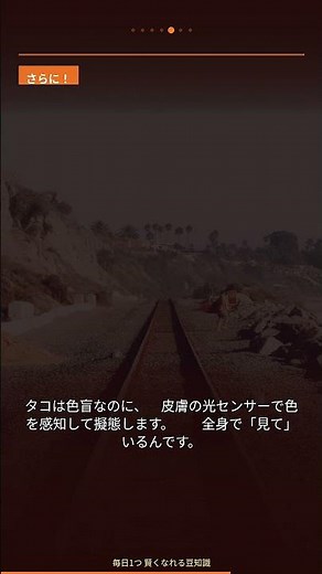 99%の人が知らないイルカの秘密