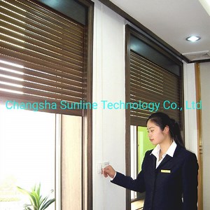 [Hot Item] 32mm Slat Aluminum Profile Motorized Rolling Shutter Window/Roller Shutters