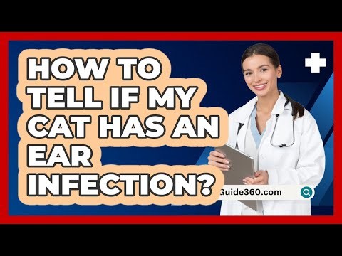 How To Tell If My Cat Has An Ear Infection?