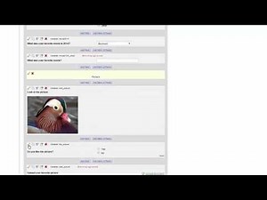 5 REDCap Online Designer