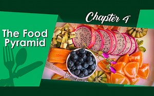 04 The Food Pyramid
