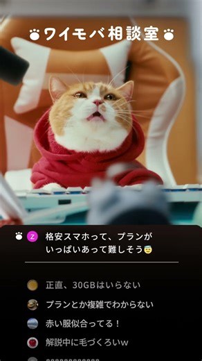 Y!mobile「ワイモバ相談室 シンプルな3プラン」篇 15秒（ショート動画）