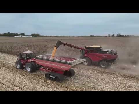 Corn Silage Harvest 2026 Full Video unique in world
