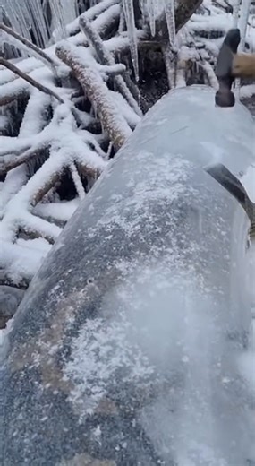 A large python (snake) is partially to heavily encased in thick, glass-like ice. Its long, coiled body is trapped beneath layered frost and rigid frozen sheets. Ice wraps around sections of its scales and tail, forming crystalline ridges and cloudy, opaque layers with trapped air bubbles. Long icicles hang from frozen coils and nearby branches. Snow is deep, wind-packed, and crusted with hard frost. The environment feels silent, frozen, and hostile. This video is created using AI, and the story 