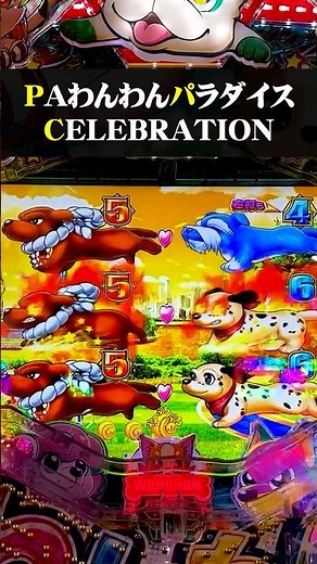 PA Wanwan Paradise CELEBRATION