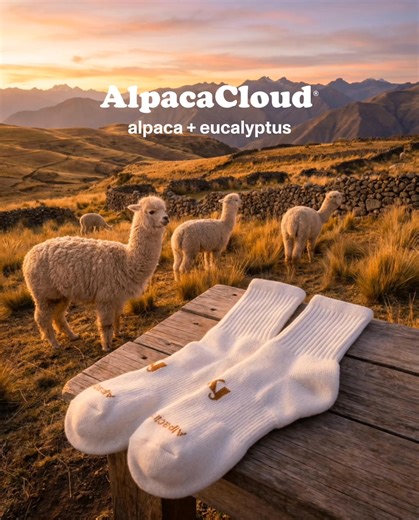 AlpacaCloud is our custom-engineered blend of alpaca fiber and eucalyptus fiber—crafted to deliver the softest, most breathable socks you’ve ever worn. They’re temperature-regulating and built to outperform merino wool and basic cotton in every condition. | Follow Your Legend