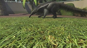 Buy Zoo Tycoon: Ultimate Animal Collection