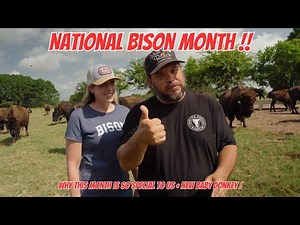 What's The Secret To A Successful Bison Ranch?