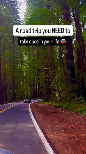 Planning a Southwest road trip? Here’s a route to save 🚐✨ Fly into Las Vegas → explore Zion National Park → Bryce Canyon → Hanksville desert landscapes → Moab adventures → Canyonlands viewpoints → Black Canyon of the Gunnison → soak in Glenwood Springs → drive the Million Dollar Highway through Ouray & Silverton → explore Durango → finish at Mesa Verde cliff dwellings. This route packs iconic national parks, scenic mountain drives, and small western towns into one unforgettable adventure — perf