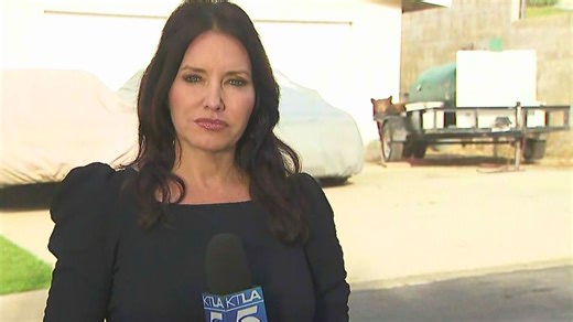 Bear wanders into KTLA reporter’s live shot while covering Monrovia attack