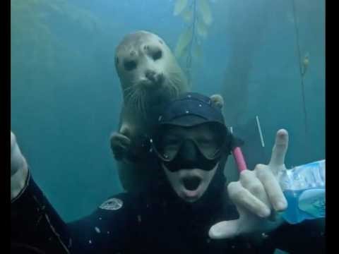 Nature is amazing - february - part 4