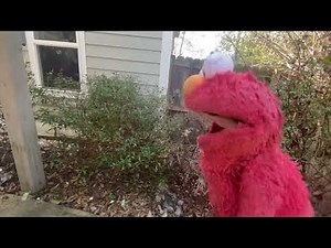 elmo world dorothy bubbles question