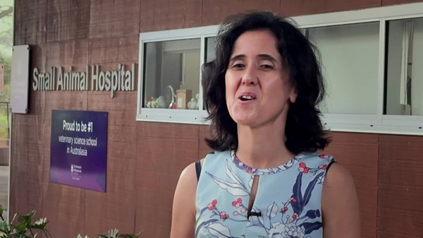 University of Queensland researchers to study impact of obesity on dogs