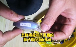 怎样拯救断了舌板的胖子饵Crank Bait_哔哩哔哩_bilibili