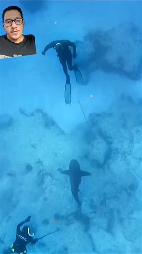 Dna Reptiles on TikTok