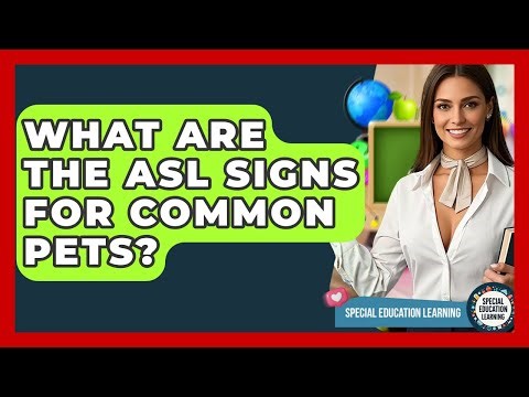 What Are The ASL Signs For Common Pets? - Special Education Learning