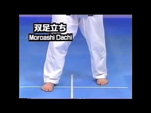 Kyokushin 101: Stances
