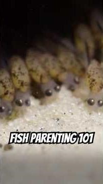 Mom’s got this. #naturepbs #wildlife #naturedocumentaries #parenthood #momlife