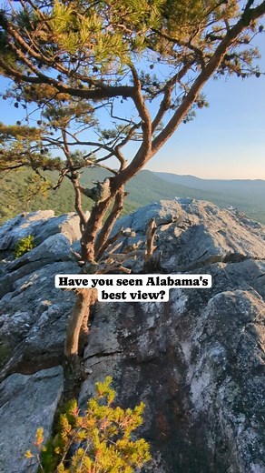 This is a short hike to the beautiful Rock Garden at Cheaha State Park! @cheahastatepark @alstateparks . #alabama #alabamathebeautiful #visitalabama | Huntsville Adventurer