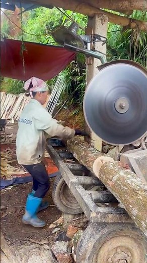 The Essential Role of Circular Saws in Timber Processing. #woodworking #circularsaw