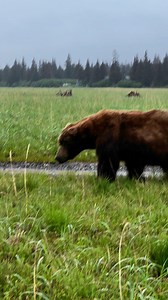 351K views · 7.9K reactions | Awesome size comparison between this...