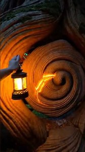 Hidden Secret Room Inside a Living Tree Home 🌿✨ | Magical Nature Architecture