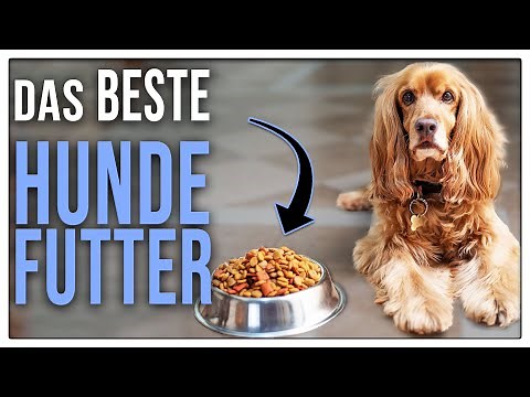 Good dog food - How to feed your dog best - TGH 5