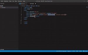 Visual Studio Code 安装