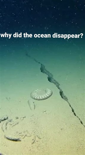 not how. not what. why. at 4,870 meters, pressure doesn’t “drop” by accident. seabeds don’t unzip for no reason. water doesn’t vanish unless something forces it to. watch the exact frame before the silence. something changes — and it’s subtle. three seconds later, the ocean corrects itself violently. #abyss #underwater #deepsea #foundfootage #1000m #foryoupage