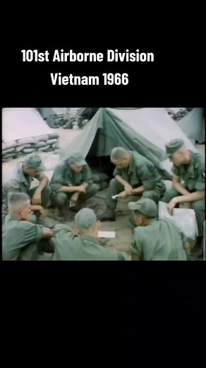 101st Airborne Division in Vietnam: A Legacy Revealed