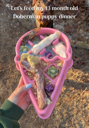 It’s dinner time! @Viva Raw ground rabbit recipe @Open Farm Pet raw mix wild ocean recipe @biteandbarkmx dehydrated prawns #dogfoodrecipe #rawfeeding #dogfeeding #doberman #dogasmr