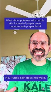 We love all potatoes but! They’re not all created equal. #purplesweetpotatoes #sweetpotato