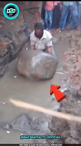 817K views · 8.3K reactions | கடைசி வரை பாருங்க⁉️ Facts Tamil Fact...