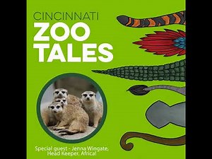 Mob Mentality: Inside the Meerkat World at the Cincinnati Zoo