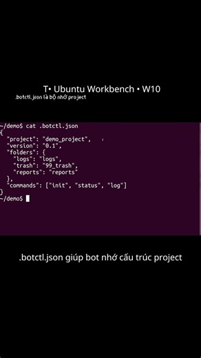 T• .botctl.json là bộ nhớ project | W10 (Ubuntu Workbench) #ubuntu #terminal #python #linux #code
