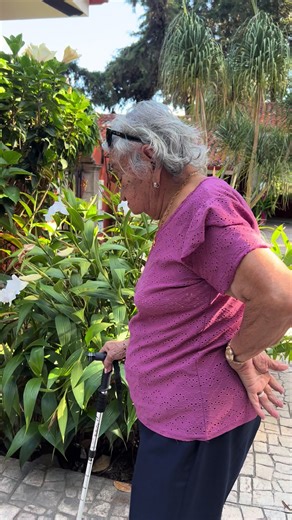 Mamá Chela 👵🏽 las plantas 🪴 y sus ocurrencias 😜